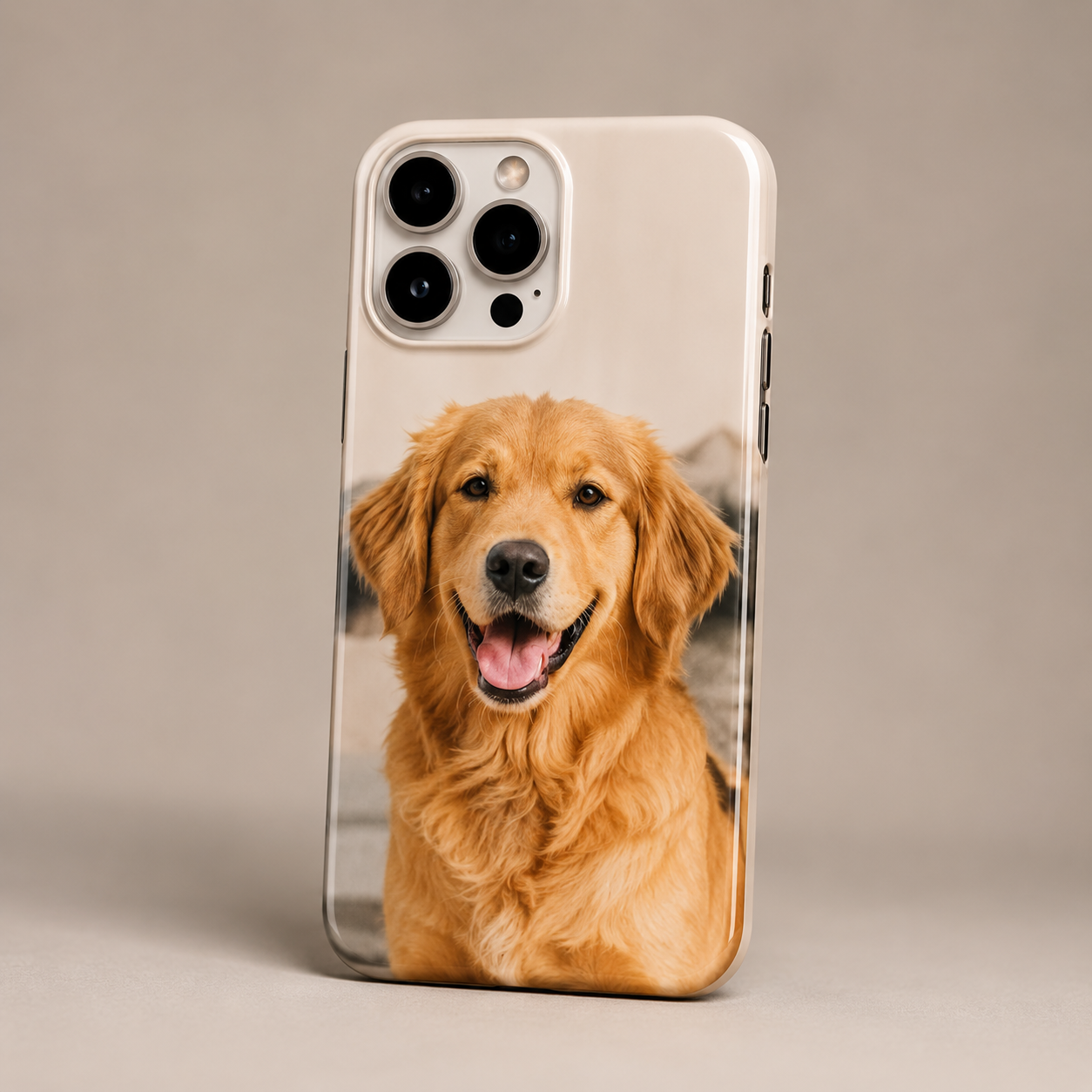 Capinha de pet